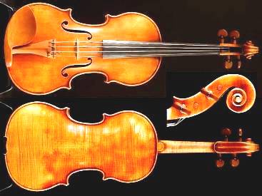 stradivarius