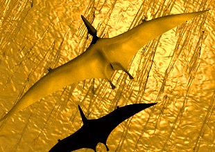 pterodactyl3