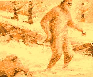 "Animal Planet" ne prezintă o filmare şocantă din 1962, în care e posibil să apară "Bigfoot", "creatura zăpezii"
