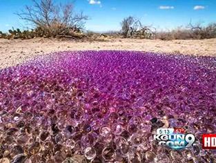 În deşertul din Arizona au fost găsite nişte sfere bizare mici şi purpurii. Fungi gelatinoase sau ouă de extratereştri?