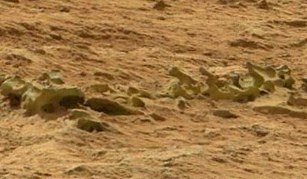 Robotul NASA Curiosity a găsit pe Marte o fosilă a unui animal gigantic. Pe Marte înotau odată, în ape, creaturi gigantice?