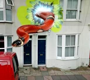 Într-un oraş din Anglia s-a raportat prezenţa unui vortex către o altă dimensiune! Din el a ieşit un şarpe gigantic...