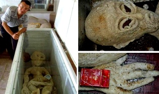 Un chinez pretinde că a reuşit să prindă un extraterestru prin electrocutare, după care l-a congelat într-un frigider