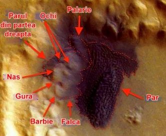 Pe Marte s-a mai descoperit un chip uman ce seamănă mai mult cu un reptilian! Şi are şi-un păr ondulat!