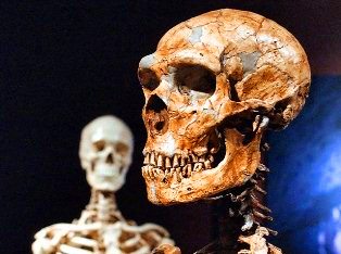 Ştiinţa recunoaşte că a greşit: oase ce aparţineau oamenilor medievali (500 de ani) au fost datate greşit ca fiind de 30.000 de ani vechime! Dacă şi oasele dinozaurilor sunt mult mai recente!?