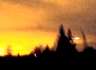 În nordul Californiei a fost surprins un extraterestru gigant, care se mişca domol la apusul Soarelui! Era o creatură foarte înaltă, subţire, cu două picioare...