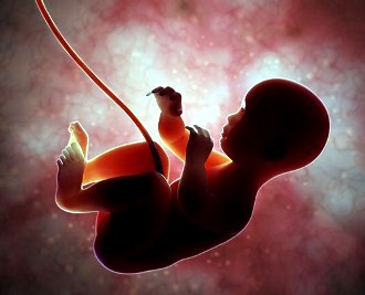 Un studiu ştiinţific şocant ne arată faptul că există viaţă dinainte de naştere! Şi chiar dinainte de concepţie!