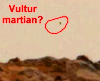 Robotul NASA Curiosity a surprins un vultur gigant pe Marte! Alţii cred că NASA iar falsifică imaginile cosmice, fotografia provenind nu de pe Marte, ci dintr-un deşert de pe Pământ!
