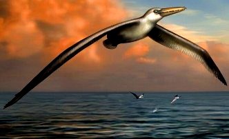 Oamenii de ştiinţă au descoperit cea mai mare pasăre care a trăit vreodată în lume, cu o anvergură a aripilor de 6-7 metri!
