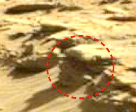chip extraterestru pe Marte