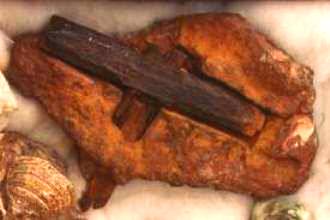 Ciocanul londonez, un artefact vechi de 100 de milioane de ani, demonstrează clar că, în acea perioadă, pe Pământ, existau oameni sau extratereştri! Ştiinţa s-a înşelat din nou!