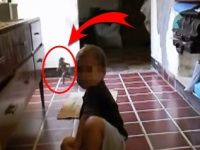Ce şocant! O mamă îşi filmează băieţelul, iar în spatele lui apare alergând o bizară creatură mică, de nici 20 de centimetri! Ce-o fi!??