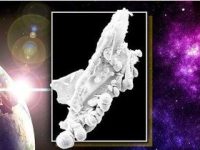 Fotografia care demonstrează că există viaţă în spaţiul cosmic! Cercetătorii au găsit o "entitate biologică sub formă de dragon" în stratosfera Pământului!