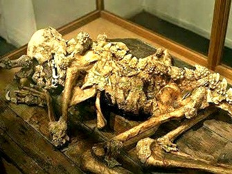Într-un muzeu japonez se găseşte scheletul real al unui reptilian, adică al unui om-dragon!? Dacă ar fi adevărat, atunci s-ar demonstra existenţa reptilienilor în istoria omenirii! 