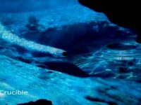 Farsă sau realitate? Pe fundul mării, în Triunghiul Bermudelor, s-a fotografiat un OZN uriaş!? 