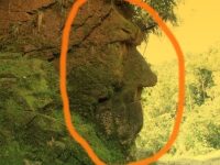 O piatră gigantică misterioasă, cu chip de om, a fost descoperită în jungla amazoniană! Ce monument incredibil!
