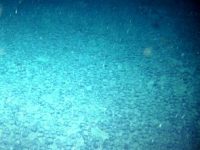 Mai multe bile metalice misterioase, vechi de zeci de milioane de ani, au fost descoperite pe fundul Oceanului Atlantic! Puteau fi folosite ele la fabricarea oţelului de către atlanţi?