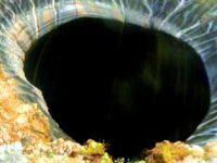 Găurile misterioase din Siberia se înmulţesc ca ciupercile! Ce se întâmplă!? Se deschid tunelurile către centrul pământului?