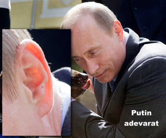 Putin adevarat 3