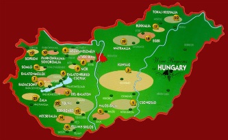 Ministrul de externe ungar: "Noi suntem un stat vechi de peste 1.000 de ani, care de-a lungul istoriei sale a trebuit să se apere nu doar pe sine, ci şi Europa"! Ce spui tu, monşer!? Iar noi, românii, avem 2.000 de ani de vechime! 