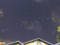 În California a fost fotografiată o întreagă "armadă" de OZN-uri care zburau pe cer! Ce naiba erau ele?
