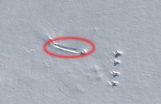 4 tancuri in Antarctica 2