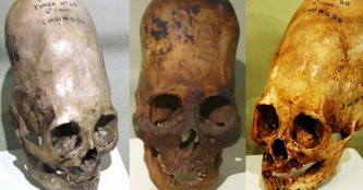 Enigma craniilor alungite se adânceşte: oamenii primitivi practicau la scară largă deformarea craniană! Cine i-a învăţat ca înfăţişarea lor să se asemene cu cea a extratereştrilor!?