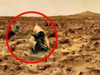 E posibil să existe viaţă pe Marte, dar aceasta a evoluat într-un mod diferit faţă de viaţa de pe Pământ! Priviţi fotografiile cu speciile hominide marţiene, ce au fost mascate de către NASA!