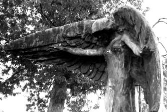 Un blestem înfricoşător! Această statuie, cea a îngerului negru, omoară pe oricine îndrăzneşte să o atingă!