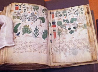 Marele mistere ale "Manuscrisului Voynich", vechi de peste 700 de ani: aici se găsesc informaţii despre energii superioare necunoscute!