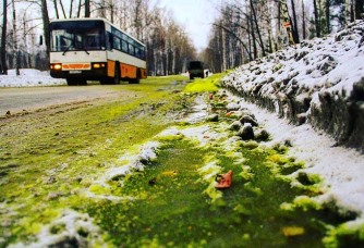 O zăpadă verde misterioasă a apărut pe un drum din Siberia... Ce s-a întâmplat, de fapt?