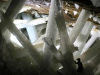 NASA a descoperit forme de viaţă misterioase, de 50.000 de ani vechime, în interiorul unor cristale imense