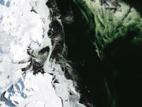 Antarctica devine şi mai ciudată: o gheaţă verde a fost fotografiată de NASA din satelit