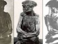 Misterul mumiei Pedro, o creatură umanoidă foarte mică, de doar 16,5 centimetri înălţime