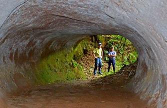 Sute de tuneluri misterioase din Brazilia, cu urme de gheare pe pereţi, îi uimesc pe oamenii de ştiinţă