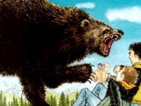 Ce trebuie să faceţi când vă atacă ursul într-o pădure? În niciun caz nu o luaţi la fugă...