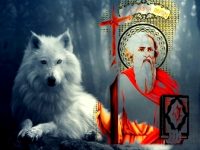 Conexiunile misterioase dintre Apostolul Andrei şi “marele lup alb dacic”