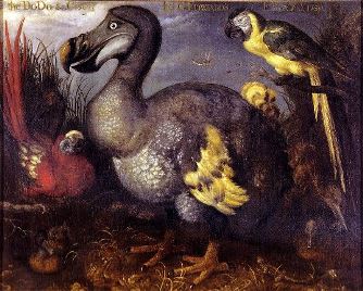 "Pasărea Dodo a lui Edwards" - un tablou celebru care ne prezintă incredibile specii dispărute de păsări