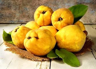 Gutuia: fructul care vindecă răcelile şi problemele digestive