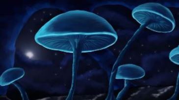 O ipoteză nebună: ciupercile ar putea fi specii de extratereştri veniţi din Univers, pentru a coloniza Pământul