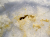 Explicaţii oculte despre zăpada galbenă / roz-portocalie din România