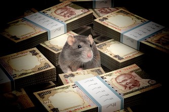Un şobolan a spart un bancomat din India şi a început să mănânce banii...