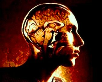 Un neurolog australian a descoperit o regiune enigmatică a creierului uman