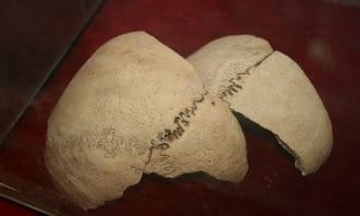 Un posibil craniu "extraterestru" a fost descoperit în nordul Chinei
