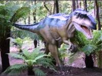 În insula Papua Noua Guinee din Oceanul Pacific trăiesc dinozauri? Conform mai multor relatări, se pare că da!