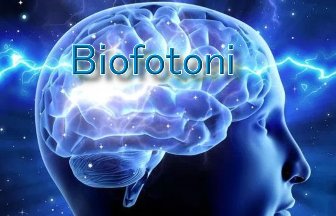 Oamenii de ştiinţă cred că în creier am putea avea “biofotoni”. Conştiinţa noastră e legată de lumină?