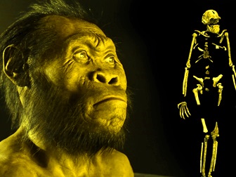 O nouă specie umană descoperită îi şochează pe paleontologi - Homo Naledi. Dovada că teoria evoluţionistă clasică este greşită!