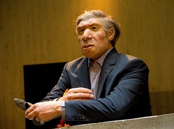 Descoperire importantă a arheologilor: în apropierea Cercului Arctic, oamenii din Neanderthal au mai trăit mii de ani, după dispariţia lor ca şi specie