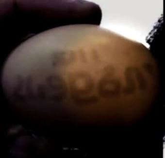 Simboluri misterioase au fost găsite pe coaja unui ou din Brazilia. Zona e cunoscută pentru numeroase observaţii de OZN-uri...