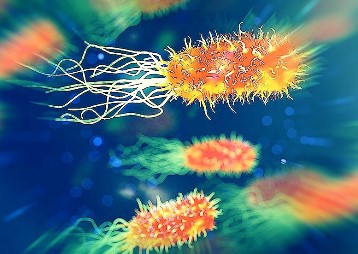 Din secretele microbilor din organismul uman: de ce unele persoane nu contractează niciodată boli infecţioase?